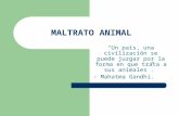 Maltrato animal (1) (1)