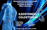 Ileostomias y Colostomias