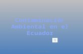 Contamincacion ambiental en el ecuador