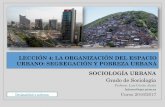 Leccion 4 segregación y pobreza urbana 2016 2017