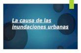 La causa de las inundaciones urbanas - Micaela Larrea