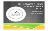 25 hectáreas Puebla México - ventas