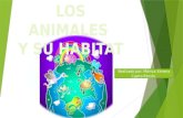 Animales y su habitat