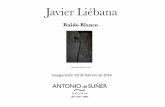 Catálogo de la exposición Ruido Blanco de Javier Liébana