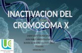 Inactivacion cromosoma x