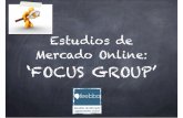Feebbo: Focus Group