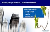 Taller Alide-Bid-Brou (Sesión3.c): Modelo jurisprudencial para el análisis de la sostenibilidad, Franlin Thame, Serasa Experian