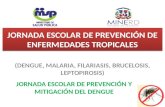 Jornada Escolar de Prevención y Mitigación del Dengue