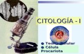 citología i