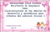 Universidad laica vicente rocafuerte de guayaquil