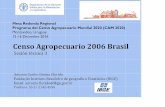 Brasil- Consideraciones Metodológicas: Censo Agropecuario 2006