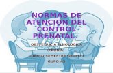 NORMAS DE ATENCIÓN DEL CONTROL PRENATAL.