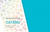 Informe nutricional infantil en comuna de Catemu