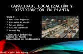 Capacidad, localización y distribución en planta