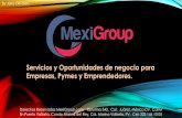 Servicios y oportunidades de negocio con Mexi Group