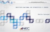 Instituto Nacional de Estadística Y Censos