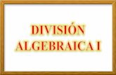 División algebraica i