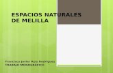 Espacios naturales de Melilla (Guelaya)