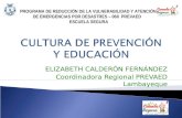 Cultura de prevención y educación