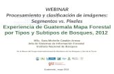 Experiencia de Guatemala Mapa Forestal por Tipos y Subtipos de Bosques, 2012