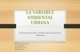La variable ambiental urbana
