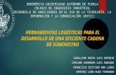 PRESENTACIÓN: HERRAMIENTAS LOGÍSTICAS PARA EL DESARROLLO DE UNA EFICIENTE CADENA DE SUMINISTRO
