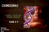 Clase 3 los cromosomas