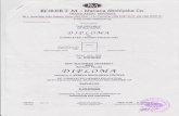 V. Popova diploma