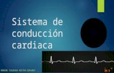 Sistema de conducción cardíaca