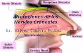 Alteraciones nervios craneales