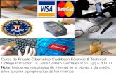 Presentation1 fraude cibernetico agosto 2015 Dr. Jose Collazo Gonzalez P.h.D (y) e.d.D.