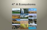 4ºa ecosystems