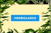 Herbolario (1)