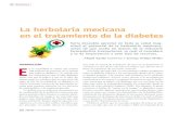 La herbolaria mexicana en el tratamiento de la diabetes