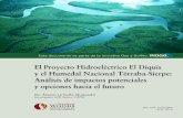 El Proyecto Hidroeléctrico El Diquís y el Humedal Nacional Térraba ...