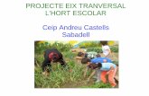 PROJECTE EIX TRANVERSAL L'HORT ESCOLAR Ceip Andreu ...