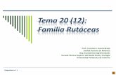 Tema 20 (12): Familia Rutáceas