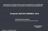 Proyecto Camisea- Localización