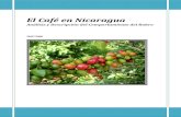 El Café en Nicaragua