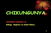 chikungunya para medicos_ enrique sabogal m