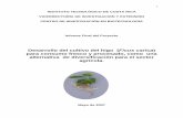 Desarrollo del cultivo del higo (Ficus carica) para consumo fresco y ...