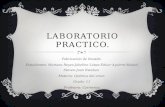 Laboratorio práctico - Elaboración de límpido