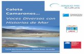 Caleta Camarones… Voces Diversas con Historias de Mar