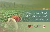 Manual Manejo tecnificado del cultivo de maiz