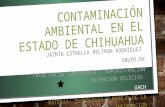 Contaminación ambiental en el estado de chihuahua