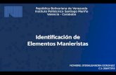 IDENTIFICACION DE ELEMENTOS MANIERISTAS