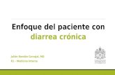 Enfoque del paciente con diarrea crónica