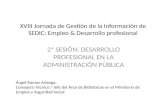 Desarrollo profesional en la Administración Pública / Ángel Ramos Arteaga
