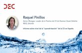 Raquel Pinillos, Congreso DEC.  Informe sobre nivel de la "operativización" de la CX en España