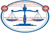 Trabajo marco legal que regula la publicidad en venezuela